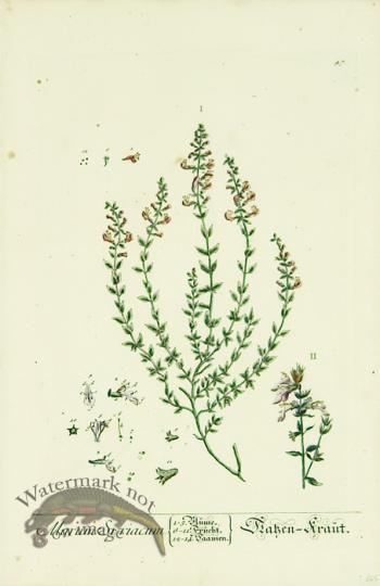 Blackwell German 254